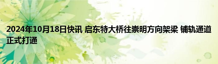 2024年10月18日快讯 启东特大桥往崇明方向架梁 铺轨通道正式打通