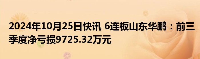 2024年10月25日快讯 6连板山东华鹏：前三季度净亏损9725.32万元