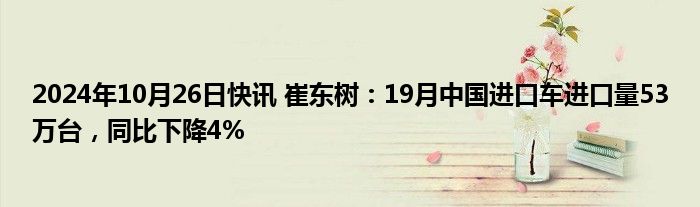 2024年10月26日快讯 崔东树：19月中国进口车进口量53万台，同比下降4%