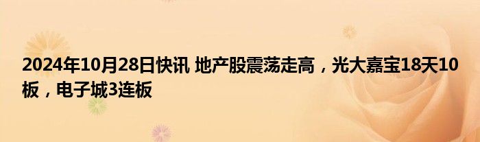 2024年10月28日快讯 地产股震荡走高，光大嘉宝18天10板，电子城3连板