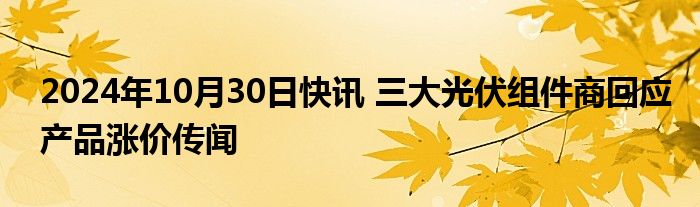 2024年10月30日快讯 三大光伏组件商回应产品涨价传闻