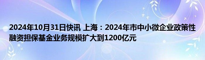 2024年10月31日快讯 上海：2024年市中小微企业政策性融资担保基金业务规模扩大到1200亿元