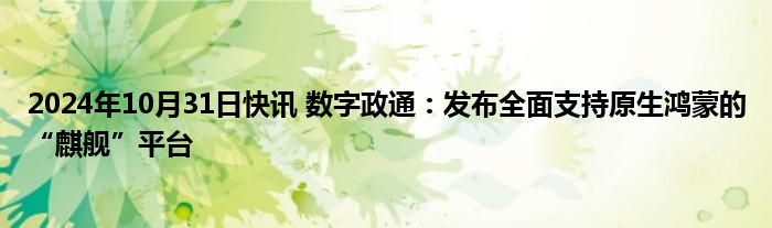 2024年10月31日快讯 数字政通：发布全面支持原生鸿蒙的“麒舰”平台