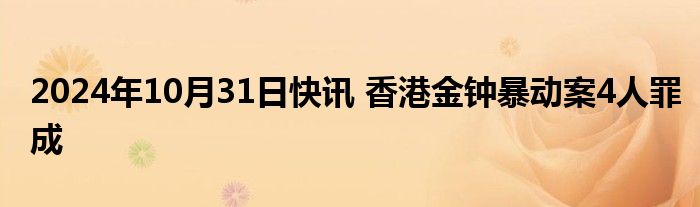 2024年10月31日快讯 香港金钟暴动案4人罪成